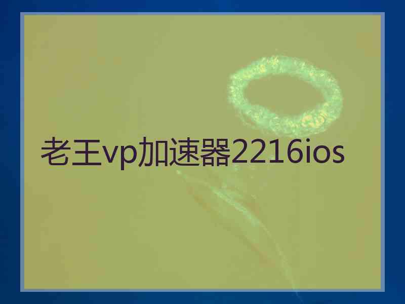 老王vp加速器2216ios