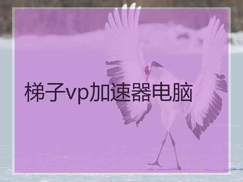 梯子vp加速器电脑