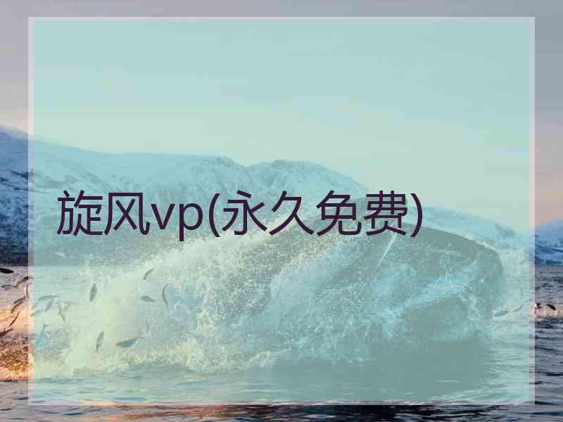 旋风vp(永久免费)