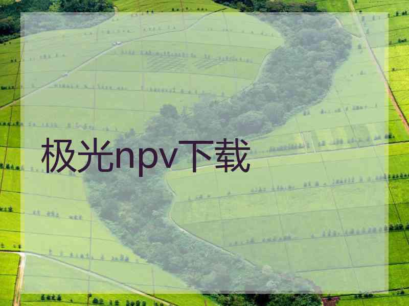 极光npv下载