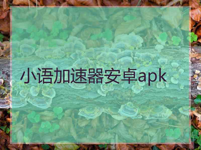 小语加速器安卓apk