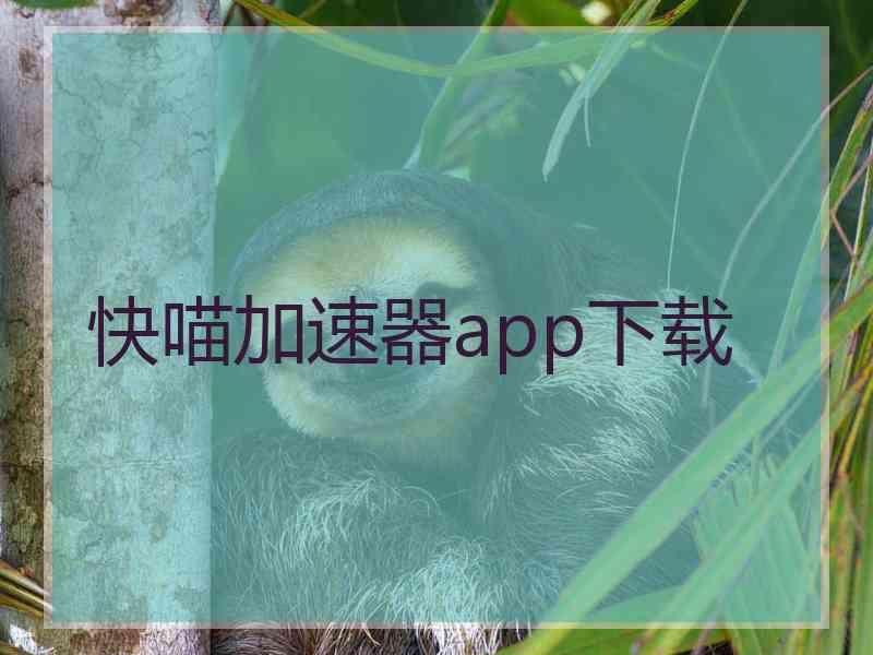 快喵加速器app下载