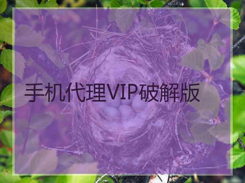 手机代理VIP破解版