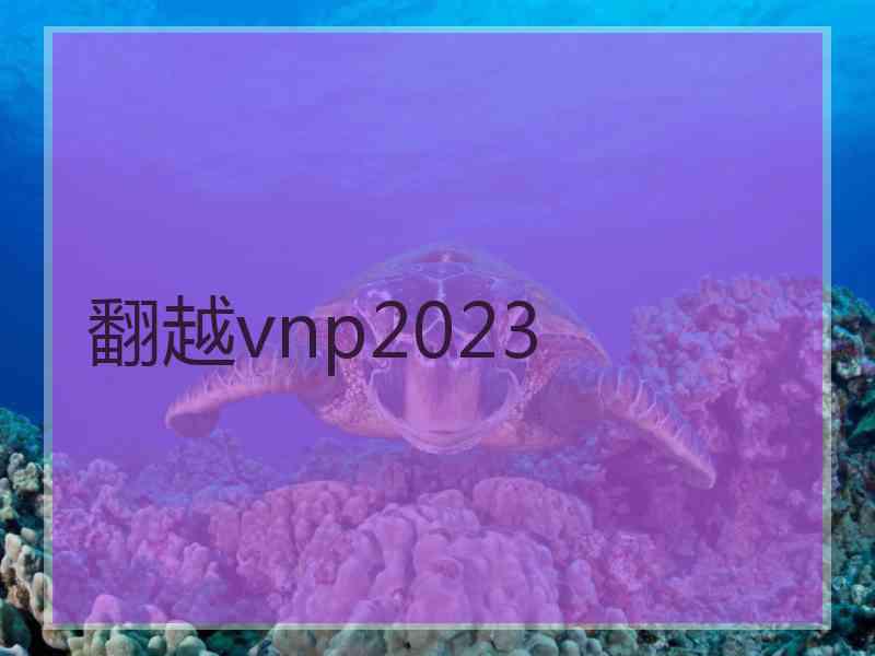 翻越vnp2023