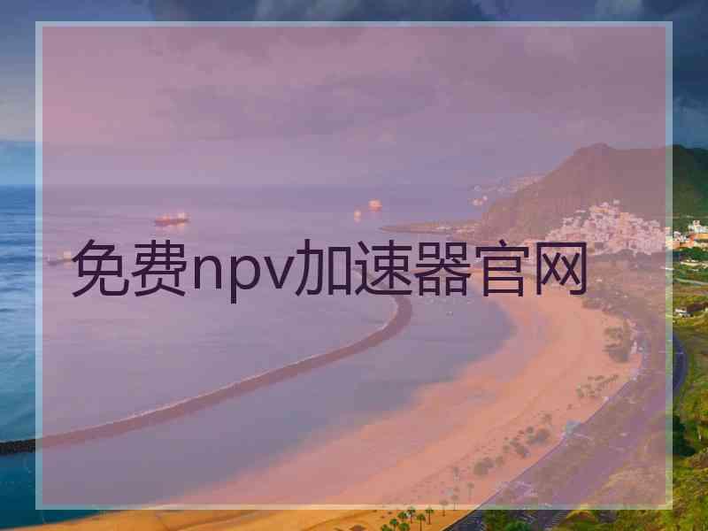 免费npv加速器官网