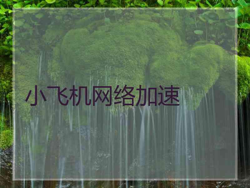 小飞机网络加速