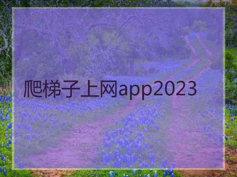 爬梯子上网app2023