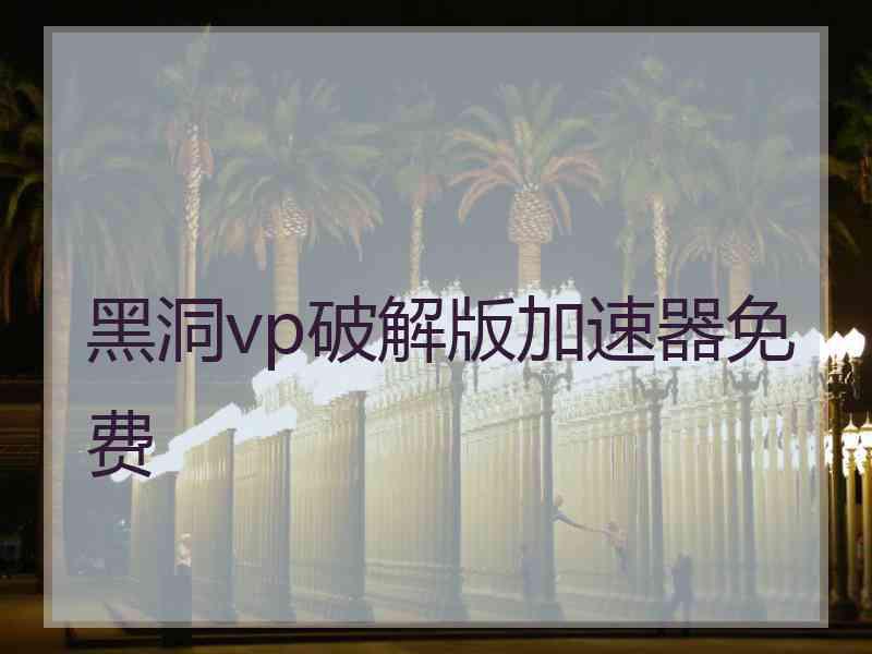 黑洞vp破解版加速器免费