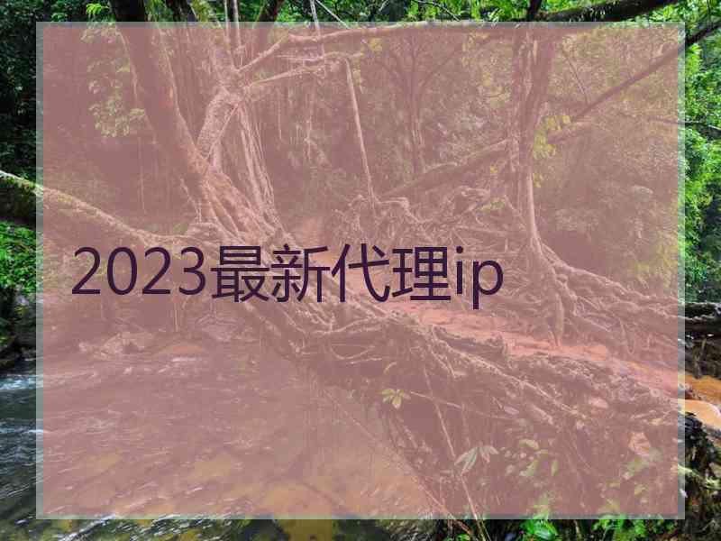 2023最新代理ip