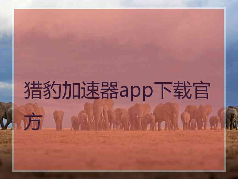 猎豹加速器app下载官方