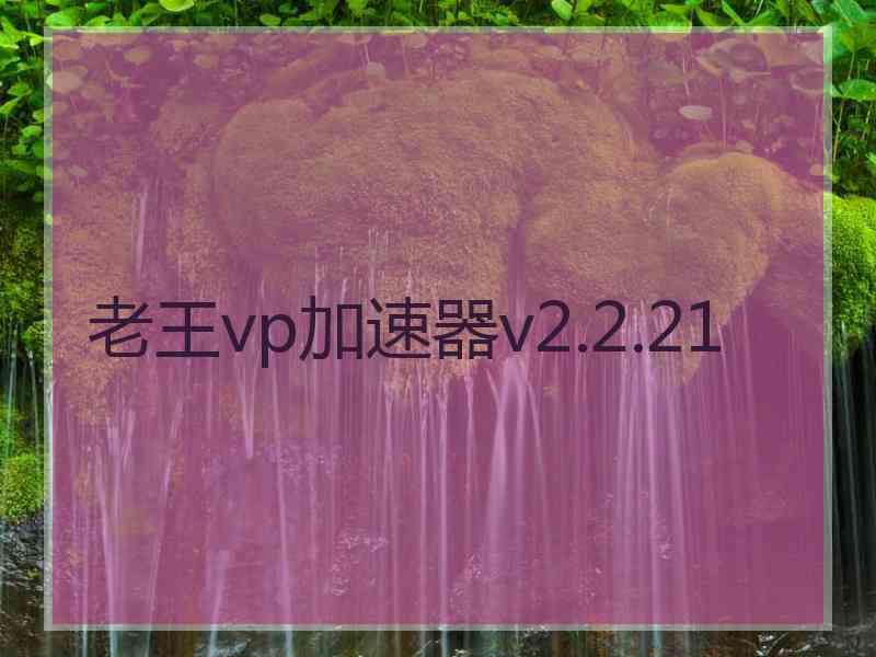 老王vp加速器v2.2.21