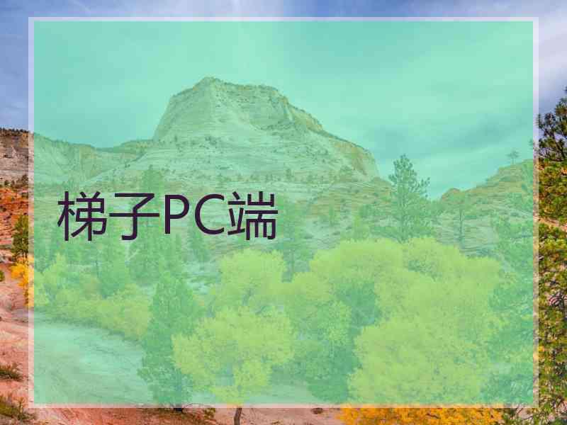 梯子PC端