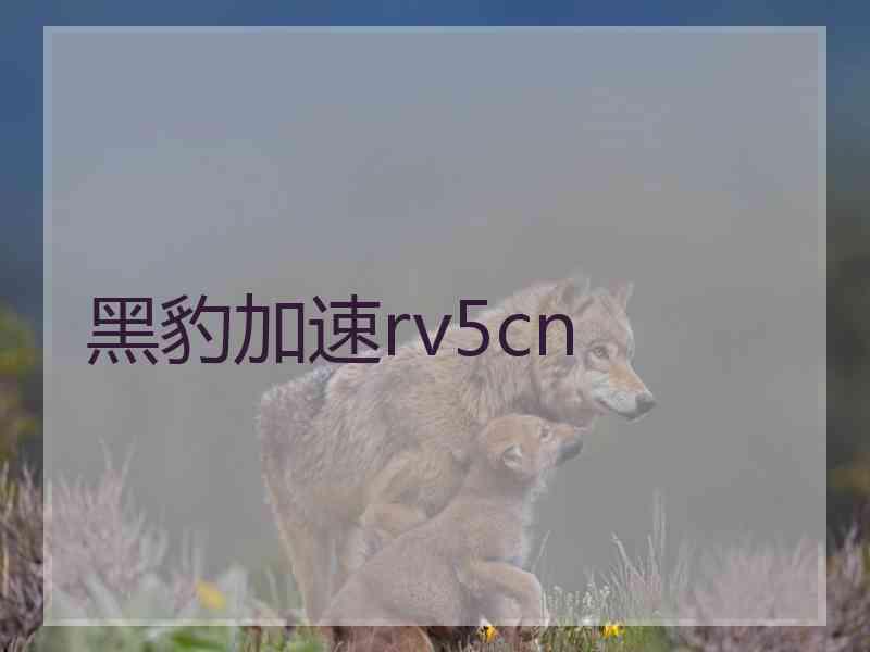 黑豹加速rv5cn