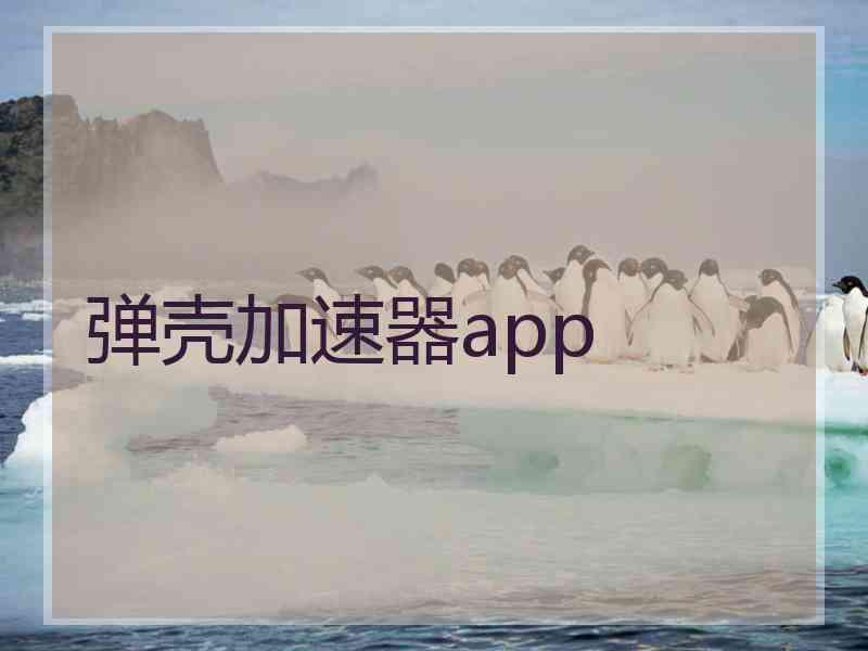 弹壳加速器app