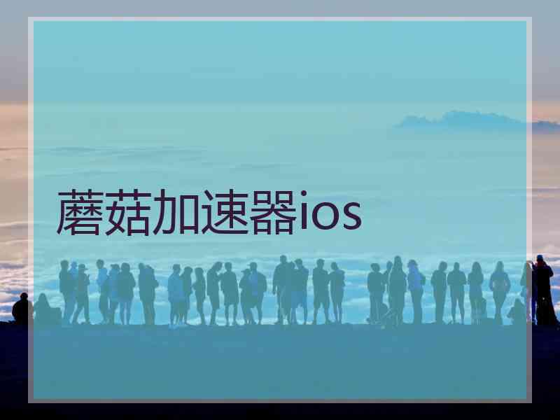 蘑菇加速器ios