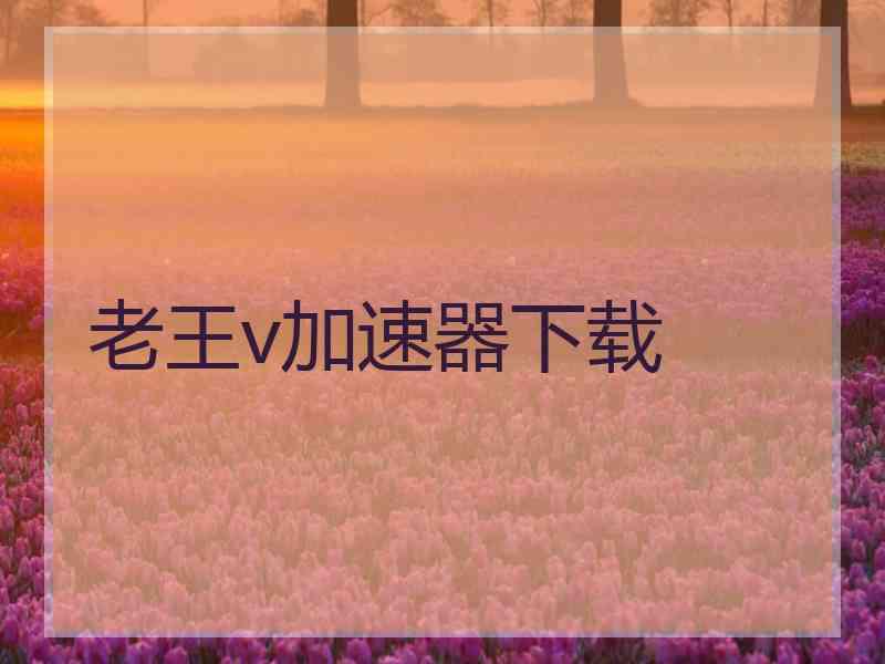 老王v加速器下载