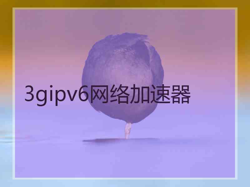 3gipv6网络加速器