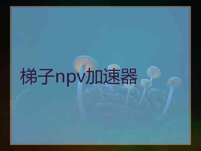 梯子npv加速器