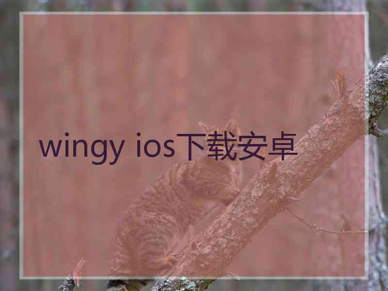 wingy ios下载安卓