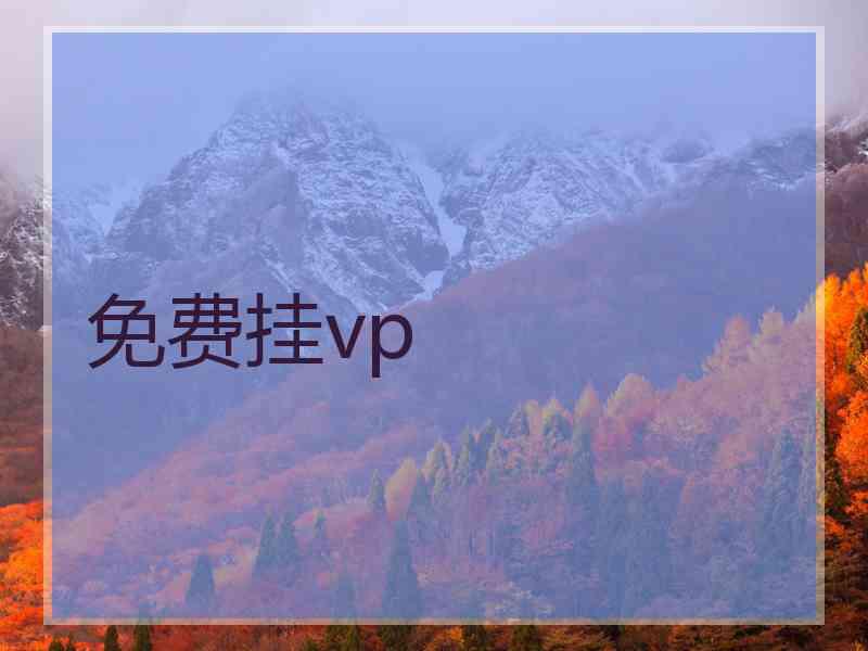 免费挂vp