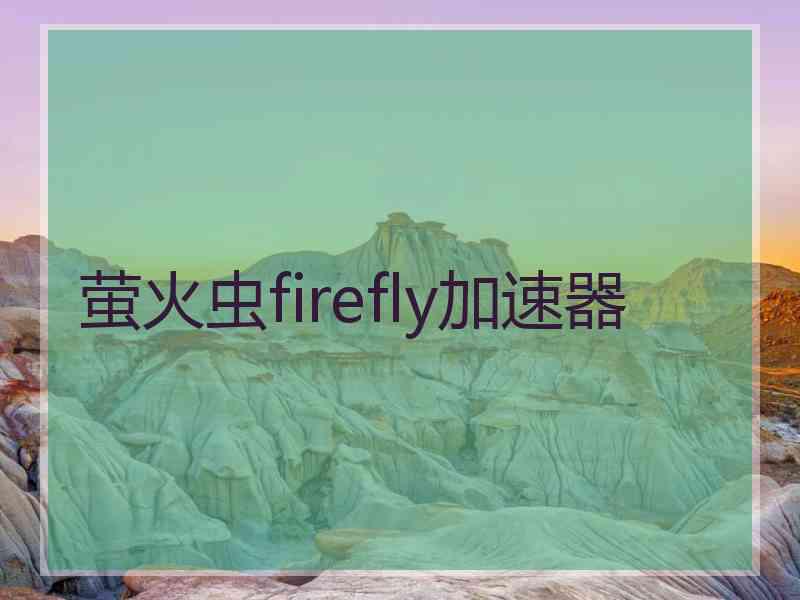 萤火虫firefly加速器