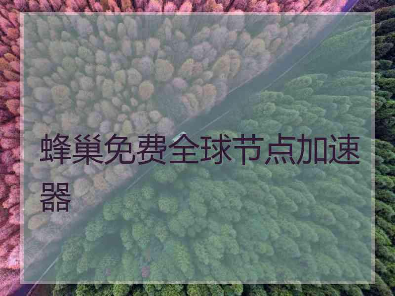 蜂巢免费全球节点加速器