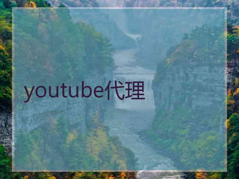 youtube代理