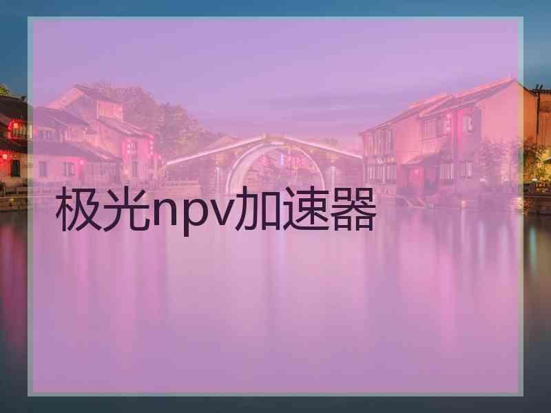 极光npv加速器