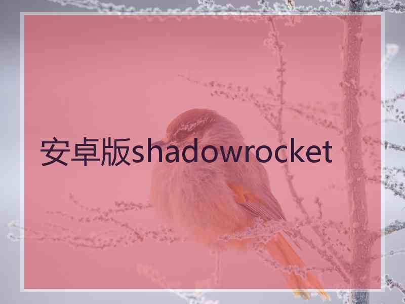 安卓版shadowrocket