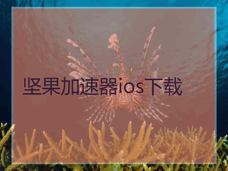 坚果加速器ios下载