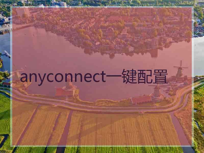 anyconnect一键配置